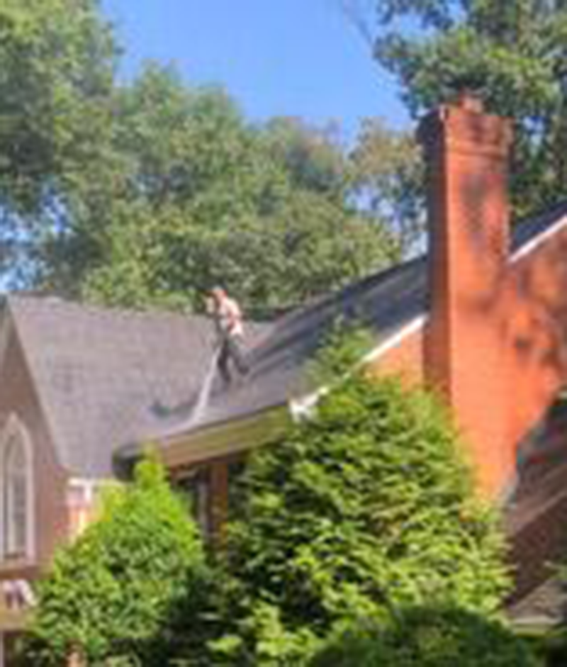 Roof-cleaning
