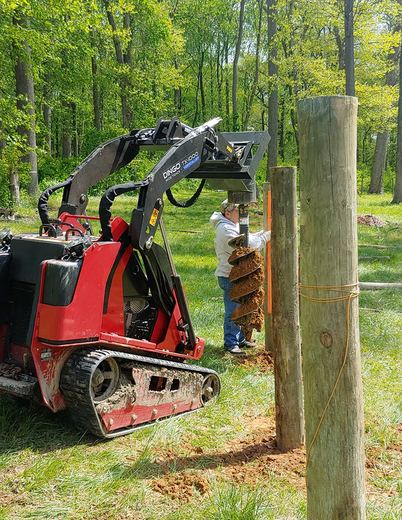 tree brush removal med