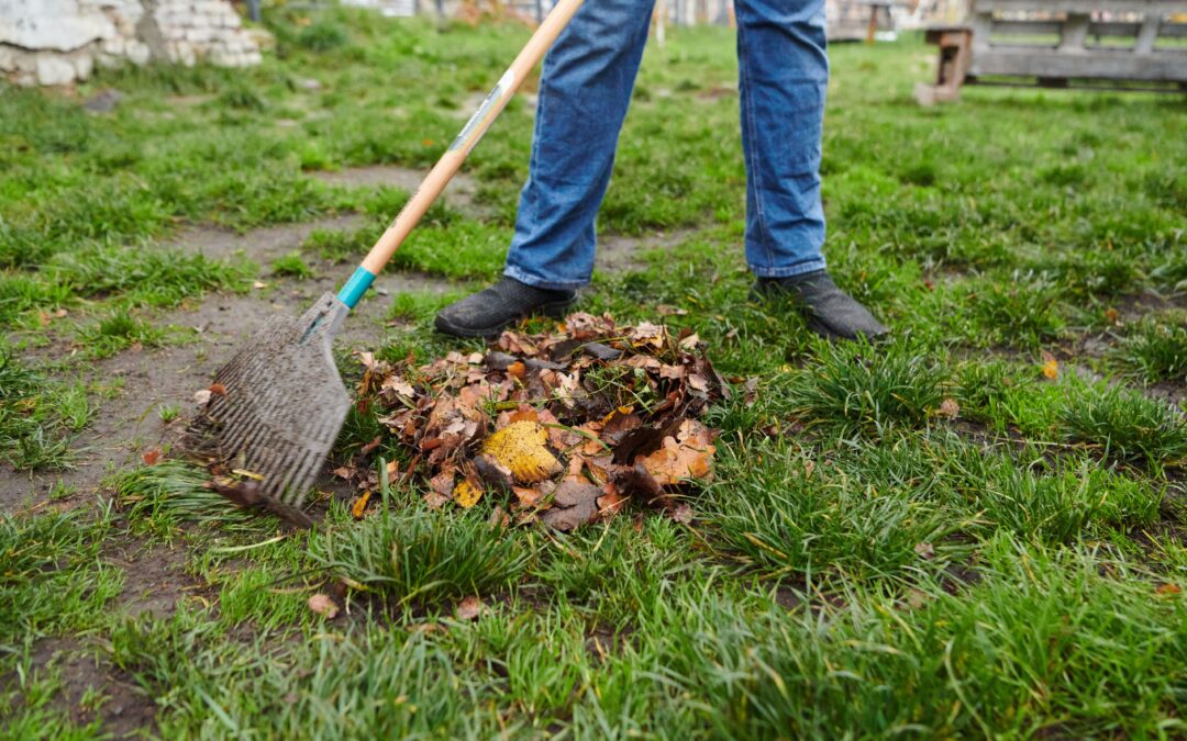 The Ultimate Fall Aeration & Overseeding Guide for Maryland Lawns. How to Repair, Rebuild, and Regrow Your Turf After Summer Stress