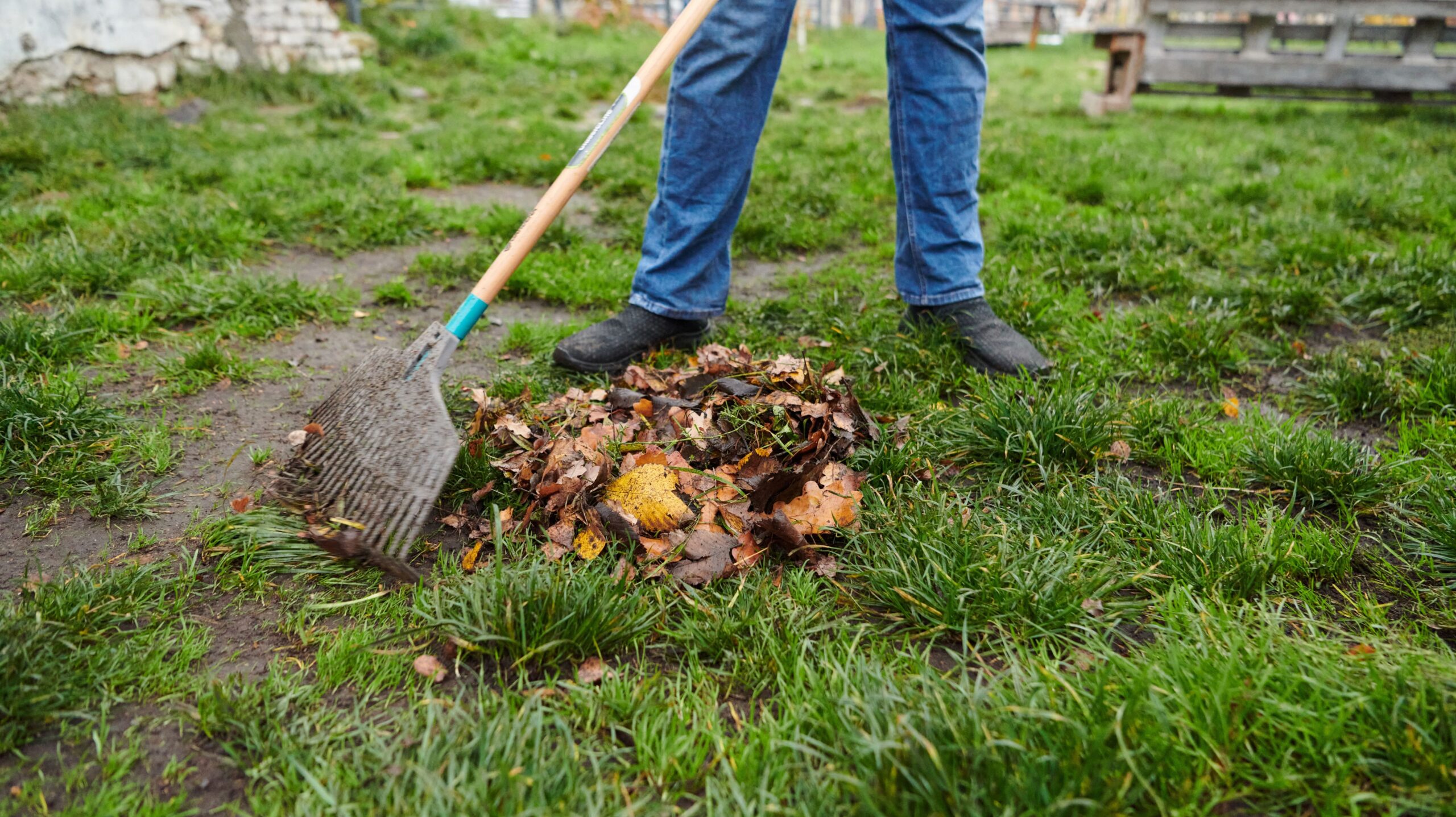The Ultimate Fall Aeration & Overseeding Guide for Maryland Lawns. How to Repair, Rebuild, and Regrow Your Turf After Summer Stress The Ultimate Fall Aeration & Overseeding Guide for Maryland Lawns. How to Repair, Rebuild, and Regrow Your Turf After Summer Stress