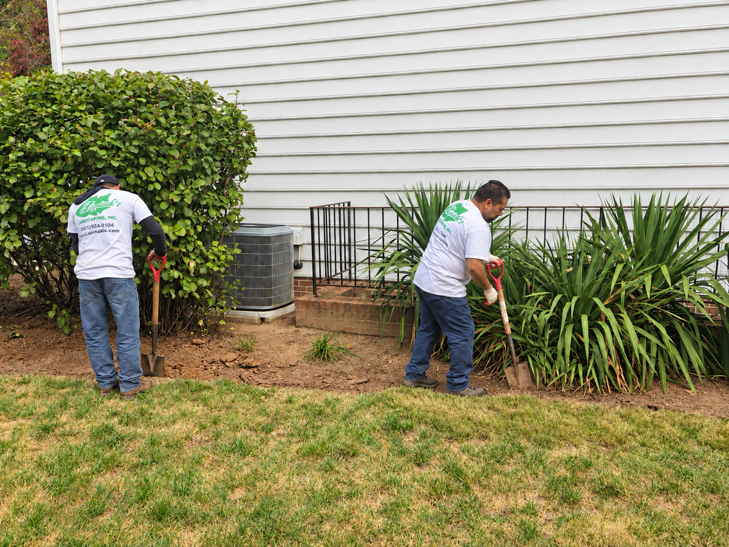 Seasonal Cleanup